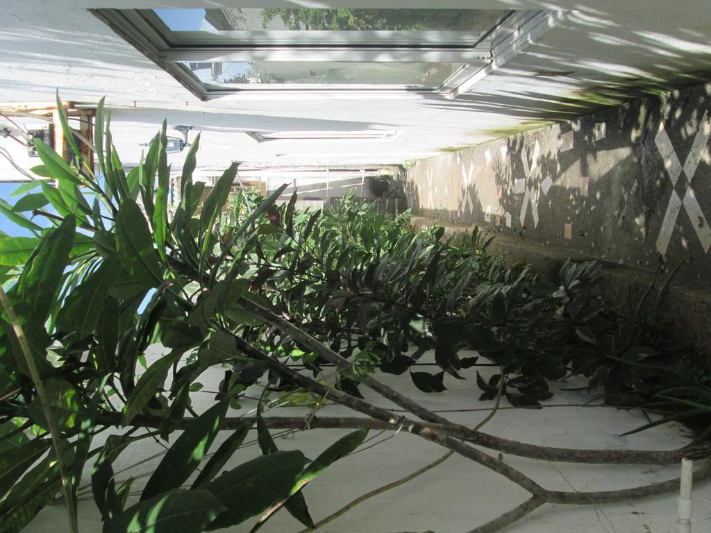 Hostal Poseidon Del Mar ซานอันเดรส ภายนอก รูปภาพ